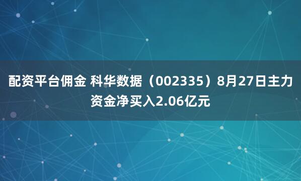 配资平台佣金 科华数据（002335）8月27日主力资金净买入2.06亿元